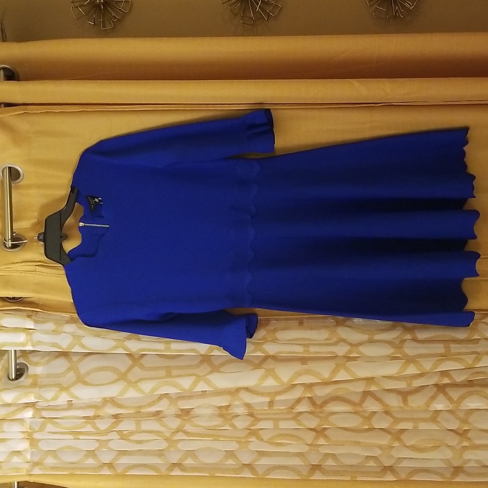 Ted Baker London Cobalt Blue Scalloped Dress